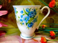 Ashdene of Australia Tasse