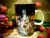 Ashdene of Australia Becher