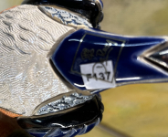 Rinconada  Rotkehlchen