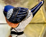 Rinconada  Rotkehlchen