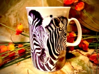 Ashdene of Australia Becher