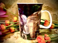 Ashdene of Australia Becher