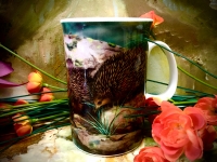 Ashdene of Australia Becher