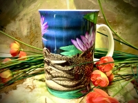 Ashdene of Australia Becher