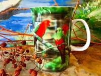 Ashdene of Australia Becher