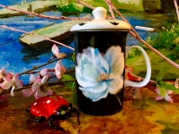 Deckeltasse Ashdene of Australia