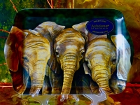 Ashdene of Australia Tablett