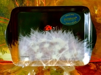 Ashdene of Australia Tablett