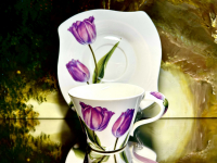 Set: 2 Tassen + 2 Untertassen