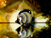 Rinconada Falterfisch