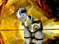 De Rosa Rinconada Elefant