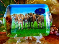 Ashdene of Australia Tablett