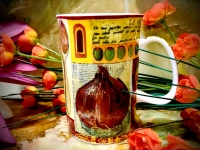 Ashdene of Australia Becher