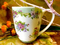Ashdene of Australia Tasse