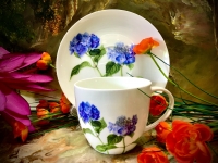 Gedeck 2tlg.: Tasse + Untertasse Ashdene