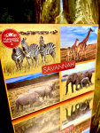 The Leonardo Collection Set: 4 Becher Savannah