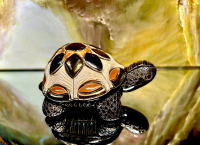 Rinconada Schildkr�te