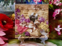 Nuova R2S Set: 20 Servietten