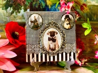 Nuova R2S Set: 20 Servietten