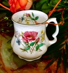 David Michael China Tasse England