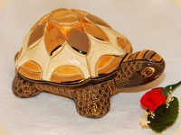 De Rosa Rinconada Galapagos Riesenschildkrte