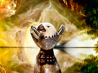 De Rosa Rinconada Wei�kopfseeadler