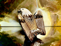 De Rosa Rinconada Wei�kopfseeadler