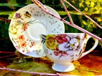 Gedeck 2 tlg. : Tasse + Untertasse