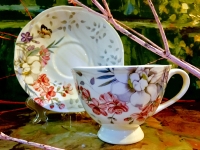 Gedeck 2 tlg. : Tasse + Untertasse