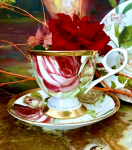 Gedeck 2tlg. : Tasse + Untertasse