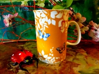 Ashdene Becher Daintree Geschenkkarton