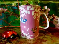 Ashdene Becher Daintree Geschenkkarton