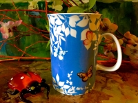 Ashdene Becher Daintree Geschenkkarton