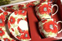 Set: 2 Tassen + 2 Untertassen