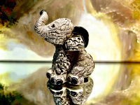 Rinconada Baby Indian Elephant