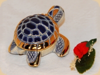 De Rosa Rinconada kleine Meeresschildkrte