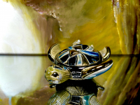 Rinconada Meeresschildkr�te Baby