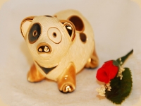 D Rosa Rinconada Ferkel