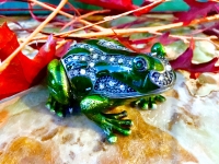 Pillendose Schmuckdose Frosch