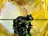 Pillendose Schmuckdose Frosch