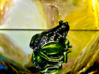 Pillendose Schmuckdose Frosch
