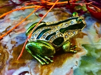 Pillendose Schmuckschatulle Frosch