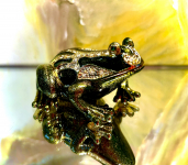 Pillendose Schmuckschatulle Frosch