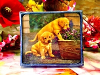 Ashdene of Australia Set: 6 Untersetzer