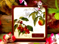 Easy Life Set: 6 Untersetzer