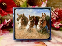 Ashdene of Australia Set: 6 Untersetzer