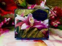 Ashdene of Australia Set: 6 Untersetzer