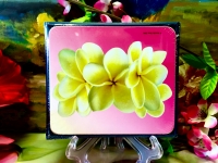 Ashdene of Australia Set: 6 Untersetzer