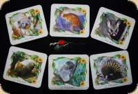 Ashdene of Australia Set: 6 Untersetzer