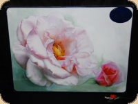 Ashdene of Australia Set: 4 Tischsets